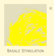 logo bazální stimulace 